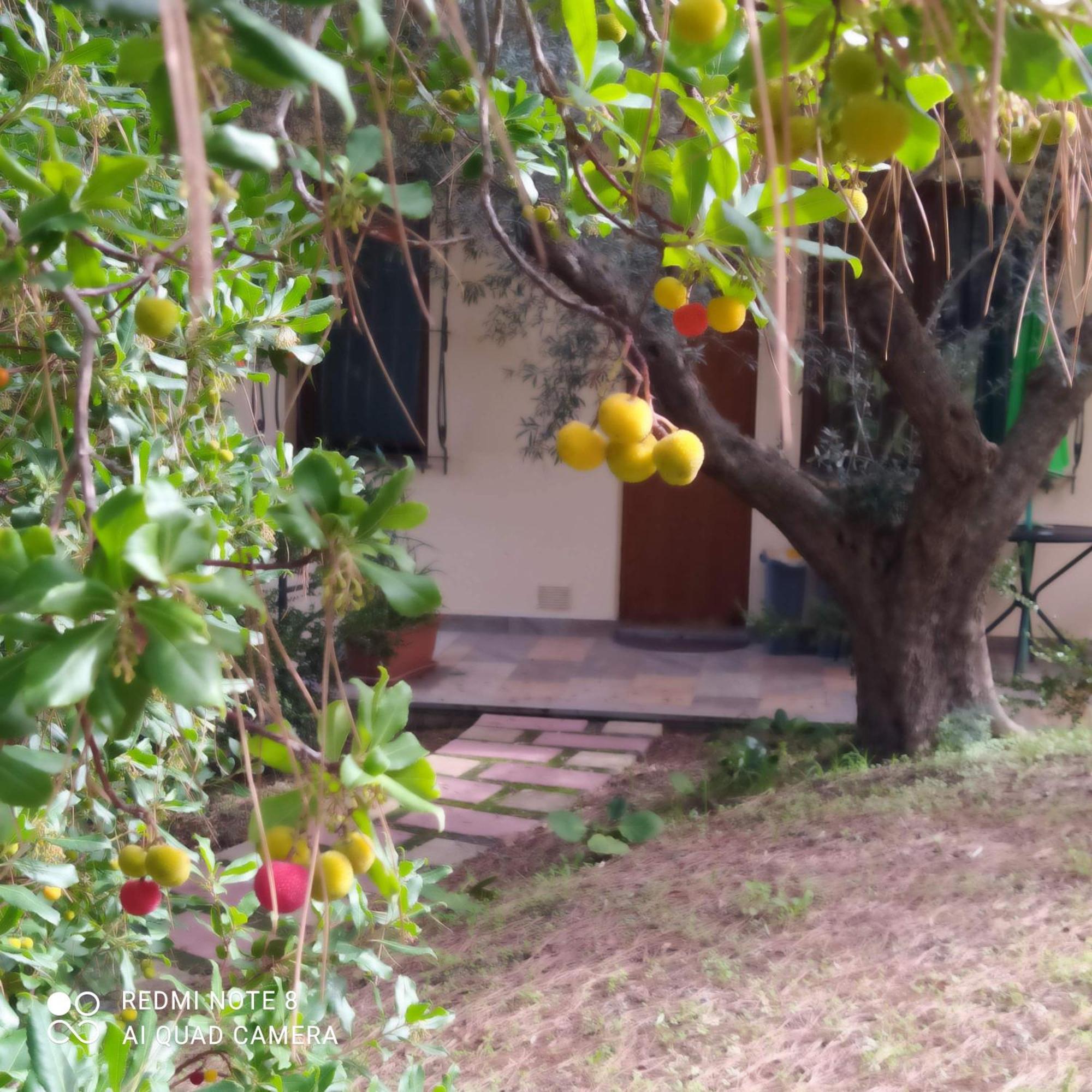Le Poiane B&B Vacanze San Piero Patti Exterior photo