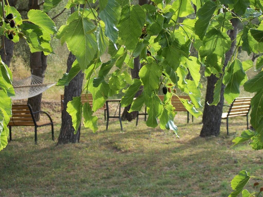 Le Poiane B&B Vacanze San Piero Patti Exterior photo